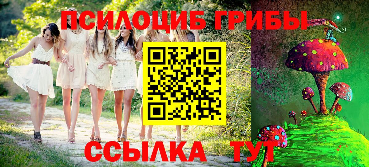 Псилоцибиновые грибы Psilocybe  Псилоцибиновые грибы GOLDEN TEACHER  Вход с VPN  Иркутск 