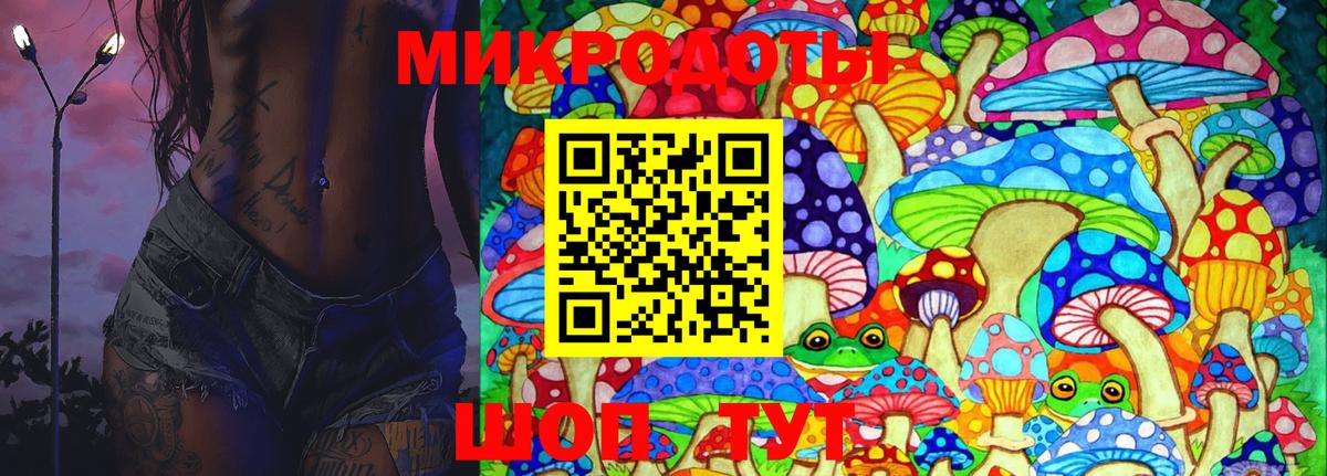 Галлюциногенные грибы Psilocybine cubensis Иркутск